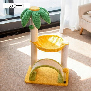 킢 Lbg^[ ~j  40*30*65 RpNg X L^[ ܌ ܂Ƃ|[ LnEX Lxbh u J[1  VjAL VL qL o₷ Lc[