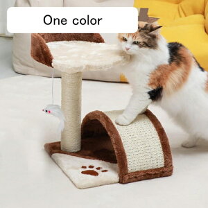 Lbg^[ ~j L^[ 32cm Ki Xebv Ⴂ ܌  X Lxbh u ȃXy[X gȒP  o₷ ܂Ƃ ]|h~fUC J[2