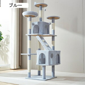 Lbg^[ ^Lp RpNg  u^ X B ܂Ƃ|[ u[ L̂ ]|h~ W] 50*50*168 Lxbh ^s L^[ ~jqLVjA