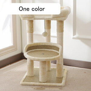 Lbg^[ ~j L^[ ^ LnEX ȃXy[X R܂Ƃ|[ W] 40*50*68 Ⴂ u Lc[ Lxbh x[W ^  u ܌ L̂ W]