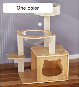 Lbg^[ u X ܂Ƃ FD B  ^s XgX Lpi ybgpi J[2 LbgnEX L^[ ȃXy[X RpNg L ܌ 48cm