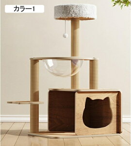 Lbg^[ u X ܂Ƃ FD B  ^s XgX Lpi ybgpi J[2 LbgnEX L^[ ȃXy[X RpNg L ܌ 48cm