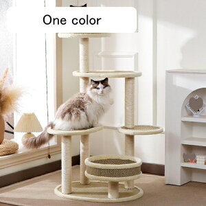 L Xebv LpKi 60cm \t@ Ki Lxbh ybgpi Lbg^[  ^Lp X L^[ J[1 ܌ u ȃXy[X ^s   gȒP C