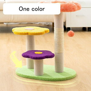 ~j L^[ ^ Ⴂ J[1  u ܂Ƃ ܌ L̂ RpNg ȃXy[X  W] Lbg^[ 49*36*57 ^s Vяꏊ XgX Lh