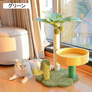  Lbg^[ X Lp u  Lbgc[ VjA qL L^[ ^ Vv 40cm ܂Ƃ O[  ˂ ^s R CeA X @\