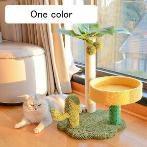  Lbg^[ X Lp u  Lbgc[ VjA qL L^[ ^ Vv 40cm ܂Ƃ O[  ˂ ^s R CeA X @\