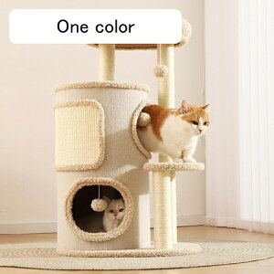 L ܌  ܌|[ c^ 킢   L^[ 55cm R[i[ Lbg^[ CeA L̂  ^s x[W Ⴂ RpNg ȃXy[X