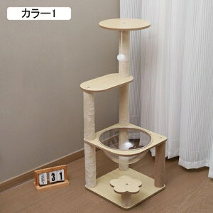 ybgnEX ܂Ƃ ߂Ƃ L܂Ƃ nEX Lpi J[1 36*78 Lbg^[ Ⴂ ^s  L Lbg^[ u^   VjA qL