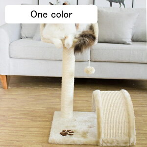 Lbg^[ ȃXy[X u^ Lp܂Ƃ|[ L^[ x[W ^s Q^[ 40cm Ⴂ Vя || 킢  XgX Lbgh