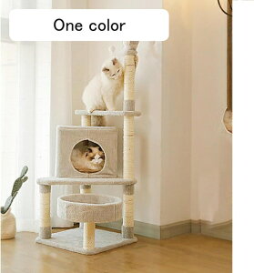 Lbg^[ ؐ X ZL ~߃}bg L J[1 VjAL qL u  ܂Ƃ  ^s L 40cm ܌  CeA 傫lRΉ 