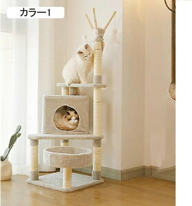 Lbg^[ ؐ X ZL ~߃}bg L J[1 VjAL qL u  ܂Ƃ  ^s L 40cm ܌  CeA 傫lRΉ 