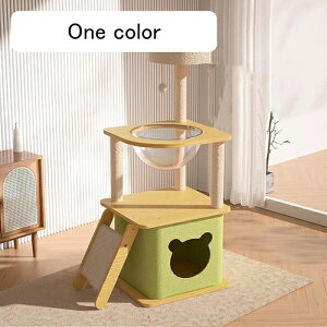 Lbg^[ J[1 {E FDt 39cm  LnEX |ȒP ܂Ƃ|[ Lbg^[ ^Lp RpNg u^ X L^[ L̂ W] Lxb