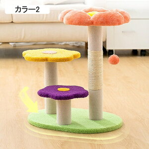 �L�^���[ �Ⴂ �V���v�� �L���b�g�^���[ �J���[1 �ȃX�y�[�X �����u���^ �L�p�܂Ƃ��|�[�� �^���s�� 49*36*57 �߂Ƃ� �|���|���������� ������� �X�g���X���� �L���b�g�����h �܂Ƃ� �L