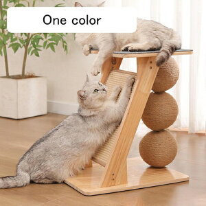 Lbg^[ ~j L^[ Ⴂ L 43cm ܌ J[1 ˂c[   Lh W] u ȃXy[X ^ X ܂Ƃ|[ L  