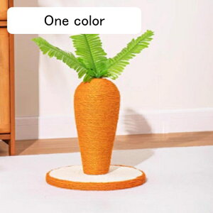 L ܂Ƃ 30cm ɂ񂶂^ L^[ Lp ܌ ܖ J[1 Lbg|[ L̂ lQ^ VRTCU  ϋv Ƌ\t@ی ˂ ^s XgX 