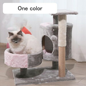 Lbg^[ L^[ Ⴂ X 51*35*57 B ܂Ƃ  u^Cv Vя  ^s VRTCUR LnEX ȃXy[X Lh J[2 Lc[