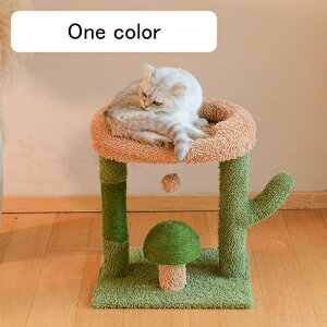 킢 Lbg^[ Ⴂ X qLVjAL 42cm ܂Ƃ ybgpi ~j L^[ ^ u L̂ Lxbh W]  ^s J[1