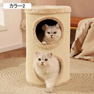 X LnEX L^[ 60cm LbgnEX Lbg^[ u J[1 Lxbh XgX ʋC bNX L ܌ B Lp܂Ƃ Lbg^[~j L^[ R[i