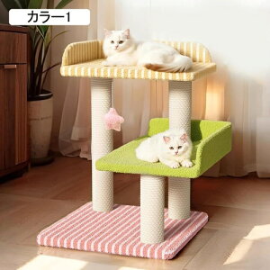 Lbg^[ L^[ Ki ybgpi Xebv Ⴂ J[1 L ܌  40cm X  Lxbh Wv̋ȔL qL VjA u gȒP  R[i