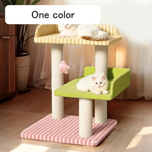 Lbg^[ L^[ Ki ybgpi Xebv Ⴂ J[1 L ܌  40cm X  Lxbh Wv̋ȔL qL VjA u gȒP  R[i