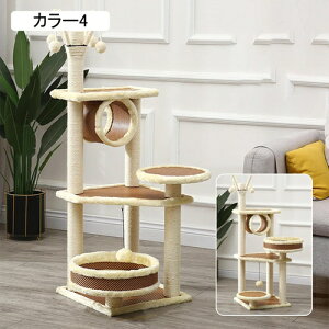 Lbg^[ RpNg u Lc[ ~j 41cm ^ ܖ R[i[u ܂Ƃ|[ @\  W] J[6  L̗Vя VjA qL  || Xg