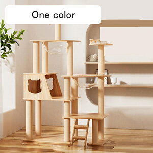 Lbg^[ X u  L^[ FD LnEX ܌|[ B t 105cm ~ ^L qL  o₷ @\  J[1 ^s