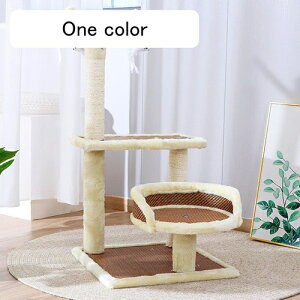 Lbg^[ u 40cm RpNg qL ~jTCY J[1  Lxbh X L ܂Ƃ Lbgc[ W] xbh ^s L^[ ybgpi ȃXx[X ܌|