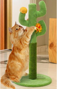 Lbg^[ 30*55 ܂Ƃ L^[  u RpNg ȃXy[X  CeA Vv L ˂h ybgpi O[