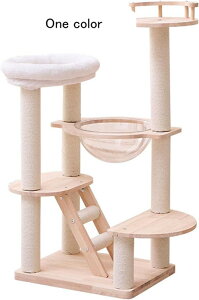 Lbg^[ X ؐ 50cm L^[ Ⴂ u L ܂Ƃ|[ ܌ R L ȃXy[X  Lxbh W] FD Ki ^sP Vяꏊ J[1 Xg