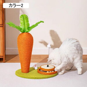 ɂ񂶂 L ܌ L ߂Ƃ |[ VRTCU CeA  J[2  gݗĊȒP L ܌ Lbg^[ lQ^   cu^ ^sXgX