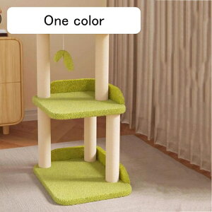 Lbg^[ u ȃXy[X X ZL VjAL qL Ⴂ  RpNg ^ ܂Ƃ O[  gȒP L^[ Vv 킢  Xebv 41cm @\