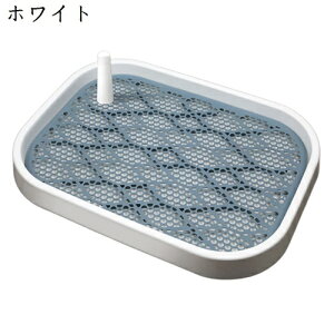 gCg[@pgC@Ch@^@^@^@gC@g[jOpgC@|ȒP@Rہ@gC{bNX@O@O@֊@g[jO