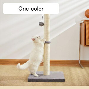 L܂Ƃ|[ VRTCU L܌|[ L CeA i` RpNg J[2 ȃXy[X XgX  40*80 ]|h~  ܂Ƃ^[ L^[ ܖ