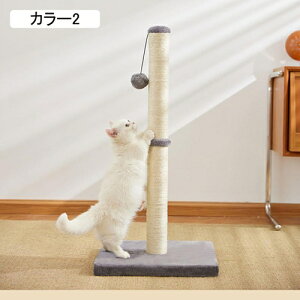 L܂Ƃ|[ VRTCU L܌|[ L CeA i` RpNg J[2 ȃXy[X XgX  40*80 ]|h~  ܂Ƃ^[ L^[ ܖ