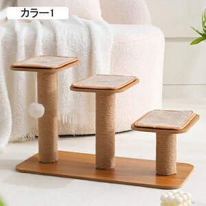 Lbg^[ u J[1   RpNg VjAL ~Čp ^L 芴  ]|h~fUC W] Lxbh ^s ȃXy[X X ܂Ƃ|[ V