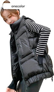 fB[X _ExXg H~  h h g V[g m[X[u y  ̌^Jo[   ʋ ʊw AEghA 傫TCY n ubN/x[W M-X