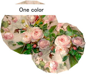 P uvJbg 100 Ռ ܂ i l ܂肽ݓP ܂肽ݎP Jp fB[X ԕ  ɋ   Ռ ՔM  ʋ ʊw gѕ֗ 蕨