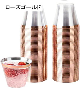 vX`bNJbv vJbv m Rbv ACXN[ 9IX 50/100  ĝăn[hCJbv JNe p[eB[  Uh~ ĝāėp\ H (