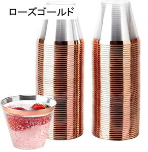 vX`bNJbv vJbv mACXN[ 9IX 100 ĝăn[hC JNe p[eB[  Uh~ ĝāėp\ H vX`bNC