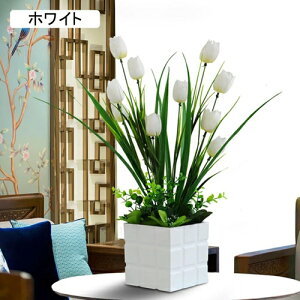 `[bv  CeA  ԃZbg tFCNt[ u[P bsv ͂Ȃ c Y JXj  Vj rO  x_ u 