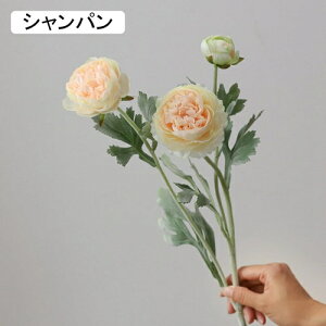  O {^̉ԑ u[P g ͂Ȃ bsv A[gt[ tFCN lH CeA EGfBO e[u AW I[ig Be j v[g 