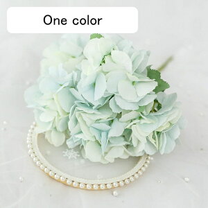  CeA AWTC 1{ XJCu[ ͂Ȃ A[gt[ ̓v[g Mtg 킢 j   X iX  p[eB[ a ԑ 蕨̉ lH