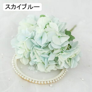  CeA AWTC 1{ XJCu[ ͂Ȃ A[gt[ ̓v[g Mtg 킢 j   X iX  p[eB[ a ԑ 蕨̉ lH