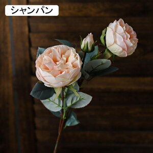  [Y tFCNt[ ỏԑ u[P ͂Ȃ Y }eBbN A[gt[ CeA LO o^C v[g j rO EGfBO   A