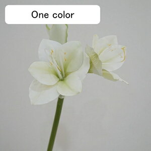 Nq  tFCNt[ ԑ u[P ͂Ȃ Y tFCNt[ A[gt[ CeA rO  ItBX   AW Be ] ސE v[g j