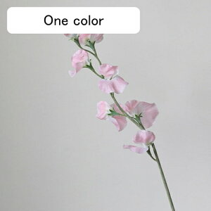  GhẺ A[gt[ lH ͂Ȃ tFCNt[ CeA k I[ig AW  u p[eB[  EFfBO fR[V j v