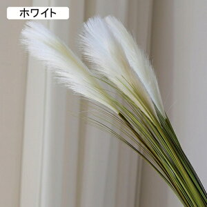 ۂ̑  tFCNO[ i` ͂Ȃ bsv Y 傫 A[gt[ CeA x_    AW Be x[W