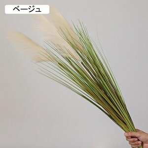 ۂ̑  tFCNO[ i` ͂Ȃ bsv Y 傫 A[gt[ CeA x_    AW Be x[W