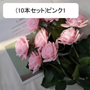  [Y tFCN ỏԑ u[P ͂Ȃ bsv A[gt[ CeA LO ސE ̓ hV̓ v[g j rO EGfBO   AW I