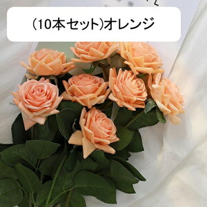  [Y tFCN ỏԑ u[P ͂Ȃ bsv A[gt[ CeA LO ސE ̓ hV̓ v[g j rO EGfBO   AW I